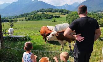 CASCINA DOLOMITI DI GUERRIERO VALENTINA