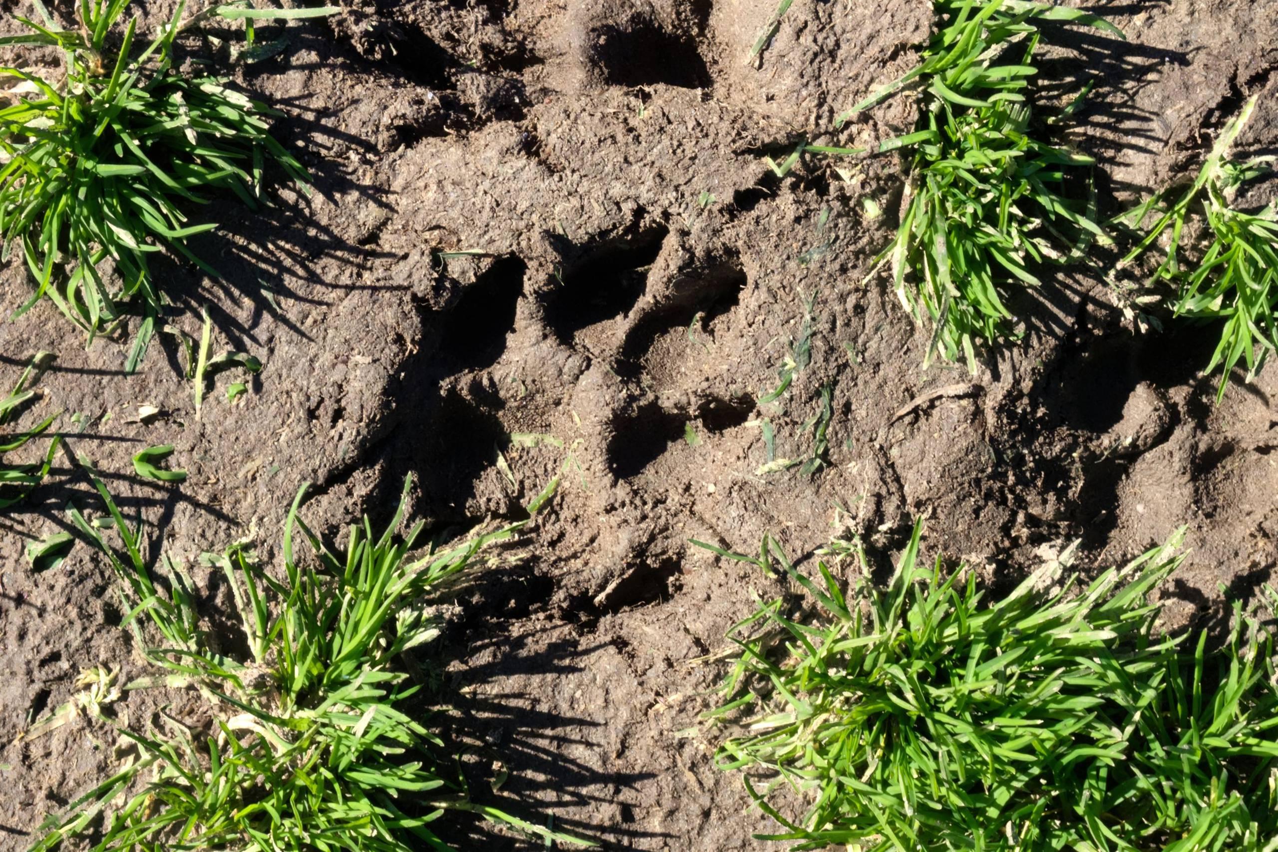 Centro di educazione ambientale Parco in Val Canzoi