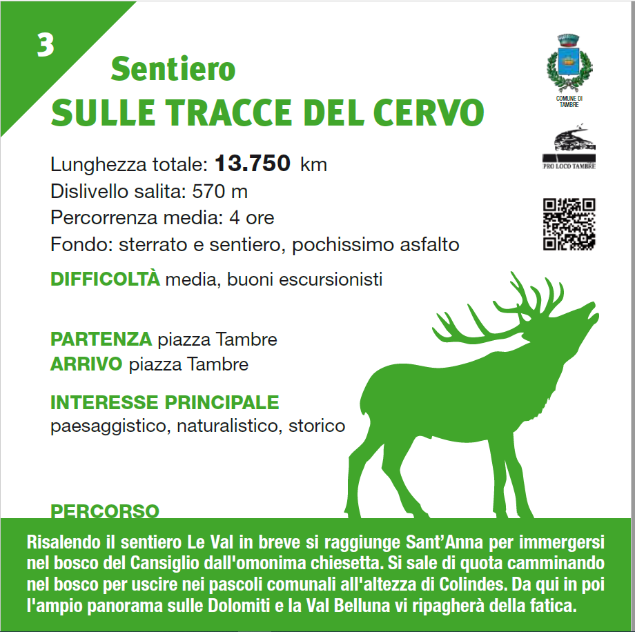 Sentiero sulle tracce del cervo