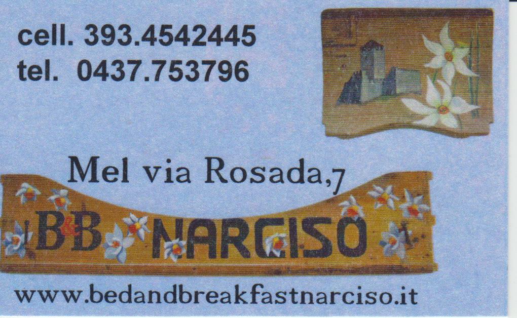 B&B NARCISO DI DA COL PATRIZIA - 3