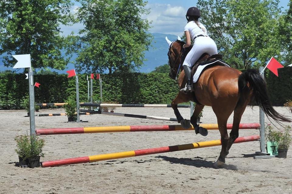 Centro Ippico Il Cavallo è Vita