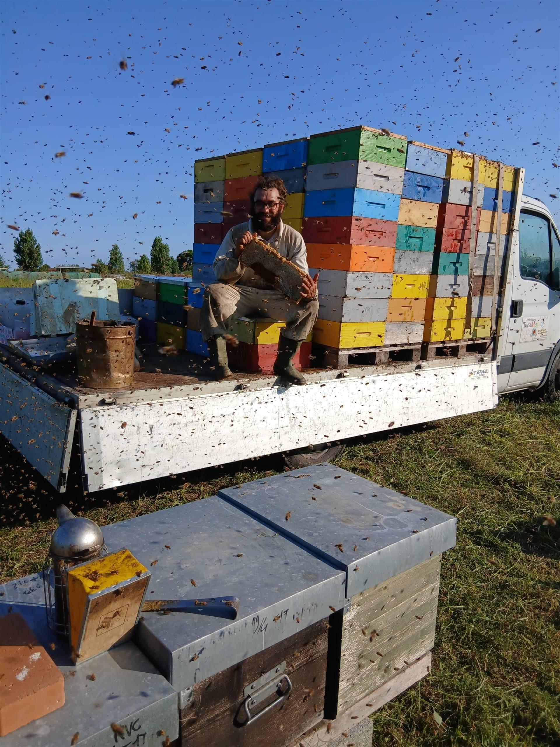 APICOLTURA TERAMAMA