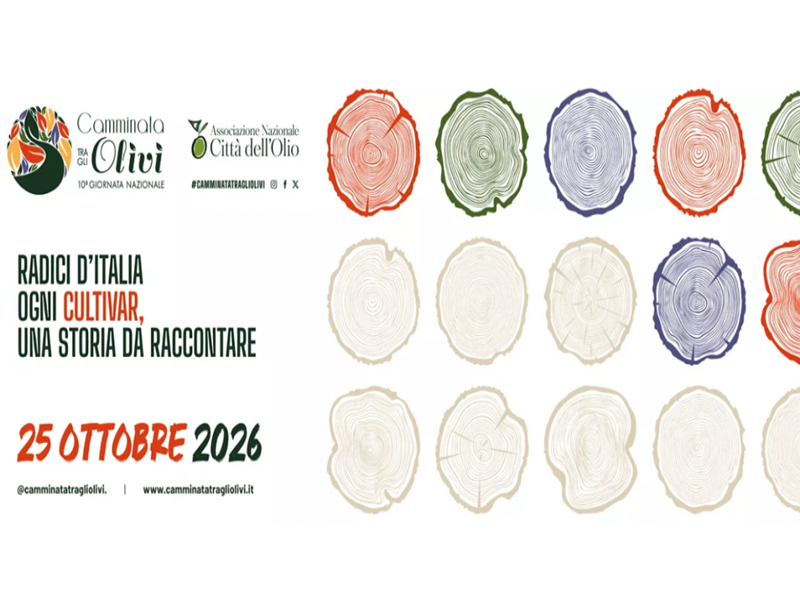 10^ Giornata Nazionale della Camminata tra gli Olivi