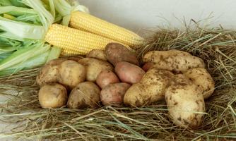 Azienda agricola fratelli De Conti