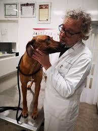 Centro Veterinario Oltrebrenta