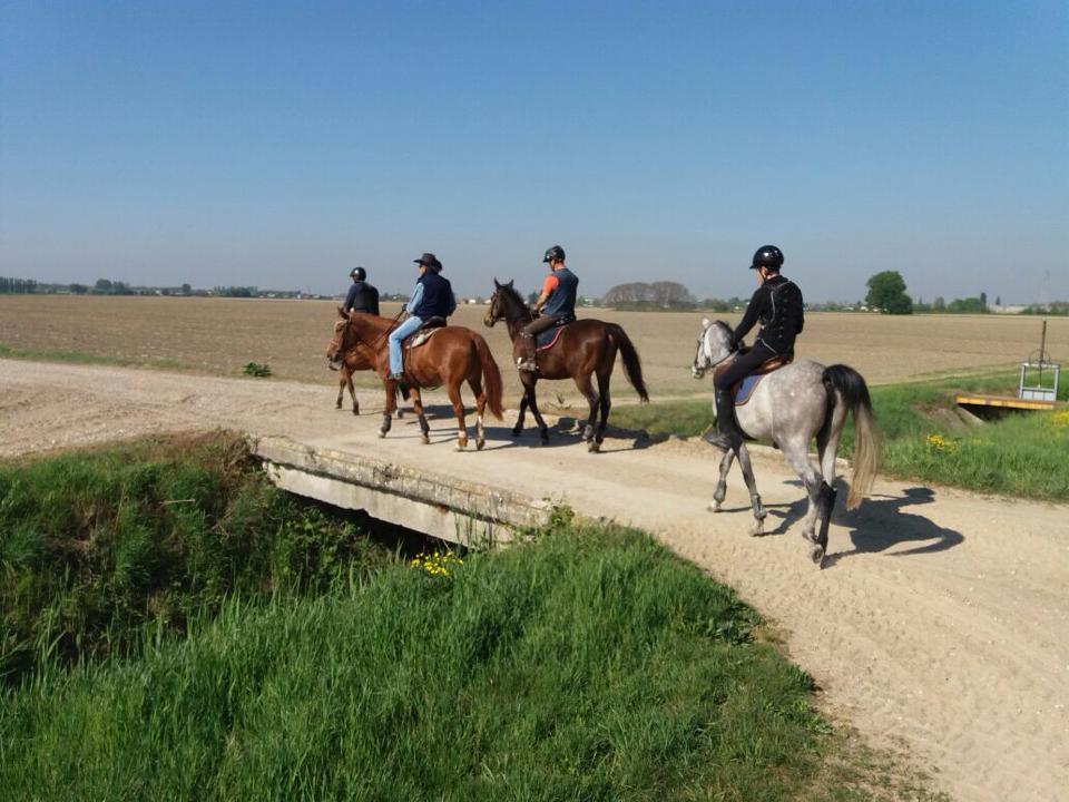 Passeggiata a Cavallo sul Dosso delle Giare