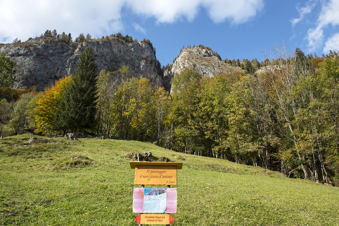 La faggeta di Sottoguda