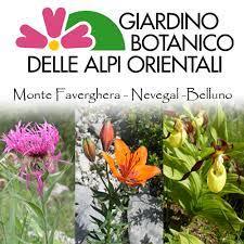 Giardino Botanico Delle Alpi Orientali- Riserva Naturale Integrale - 2