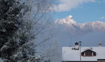 B&B NARCISO DI DA COL PATRIZIA