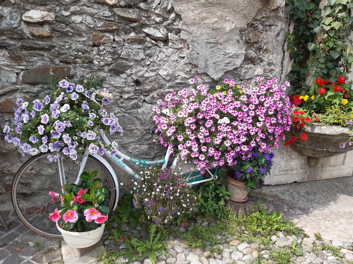 bicicletta fiorita per le vie del centro di Levico