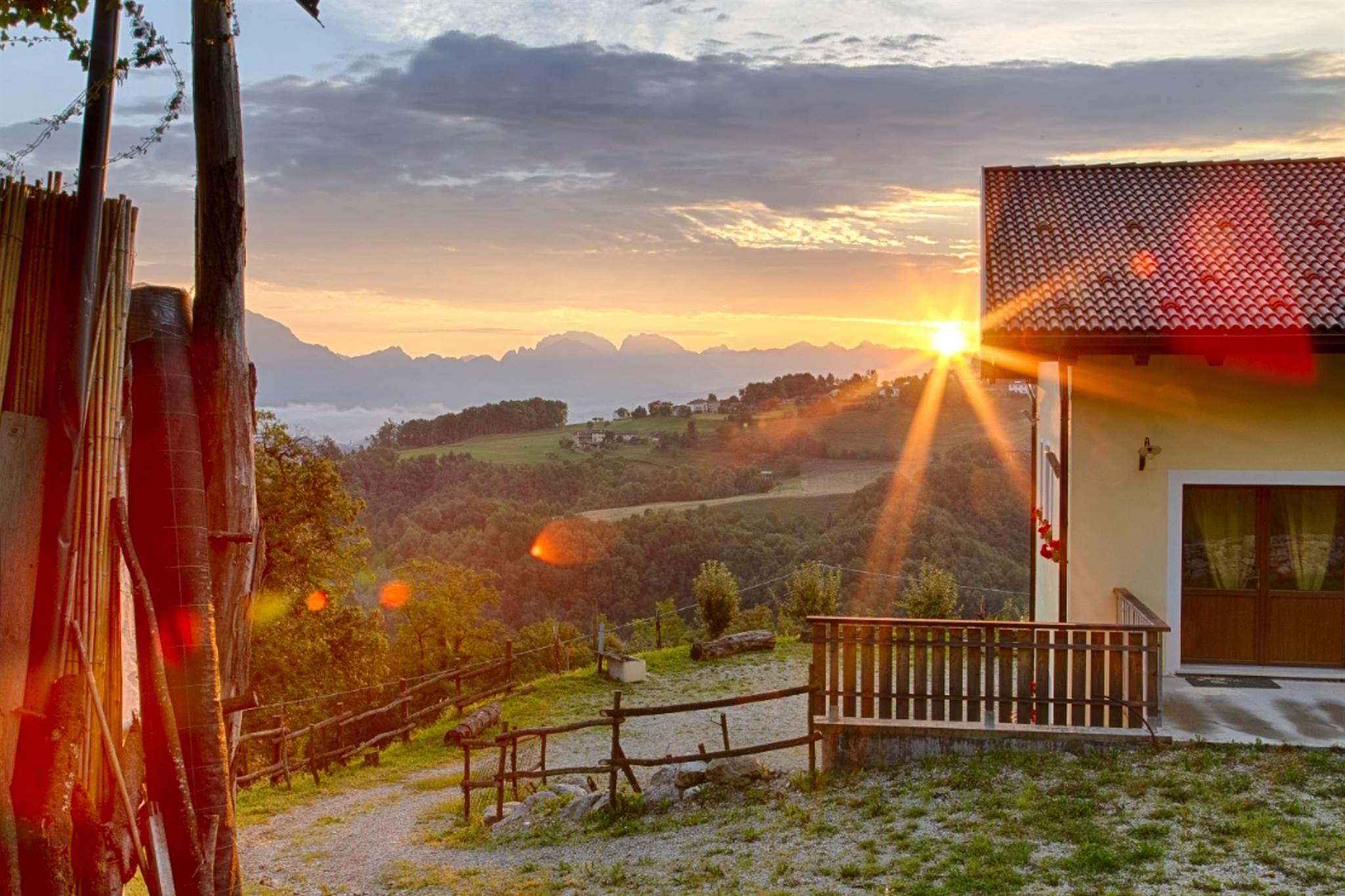 La casa nei boschi