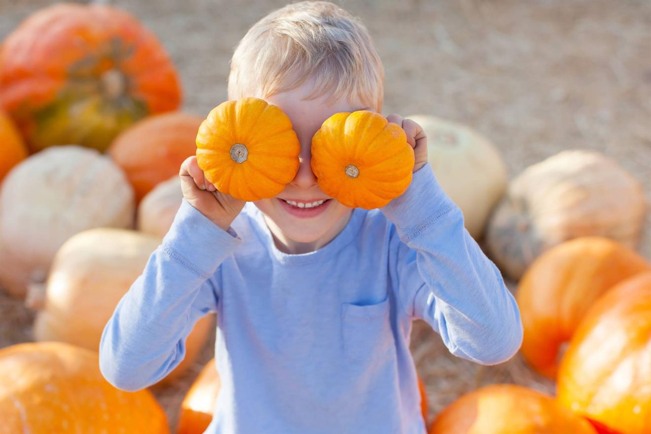 Sale in zucca
