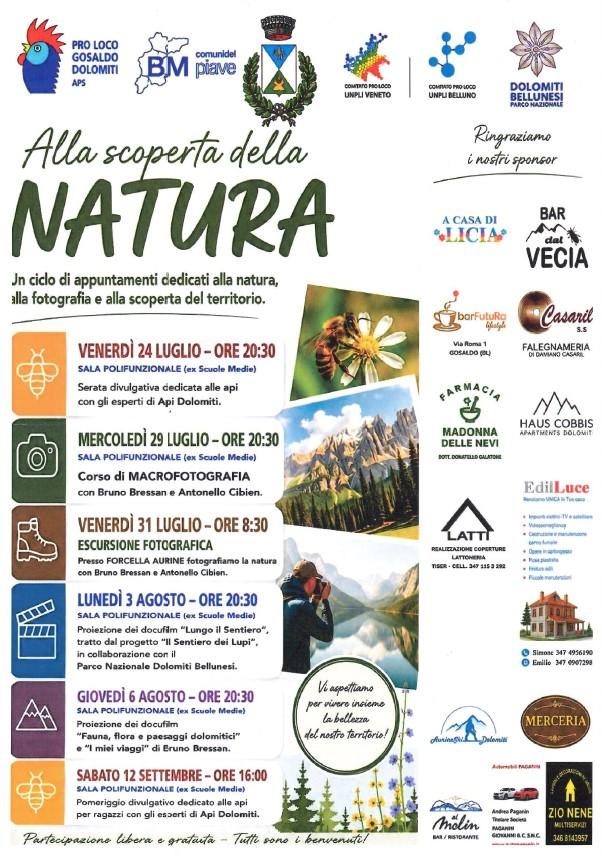 Pomeriggio divulgativo sulle api