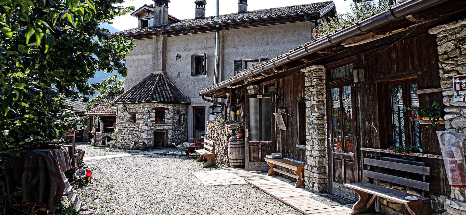 ALBERO DEGLI ALBERI