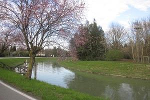 Naviglio del Brenta e Canali