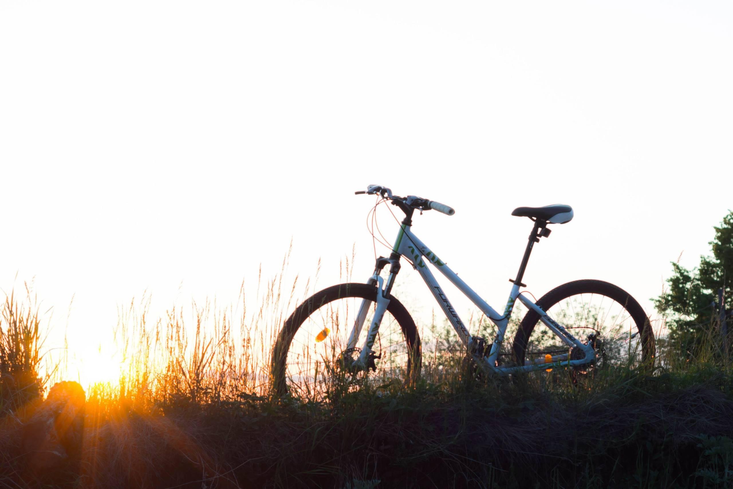 La bici raccontata 2025