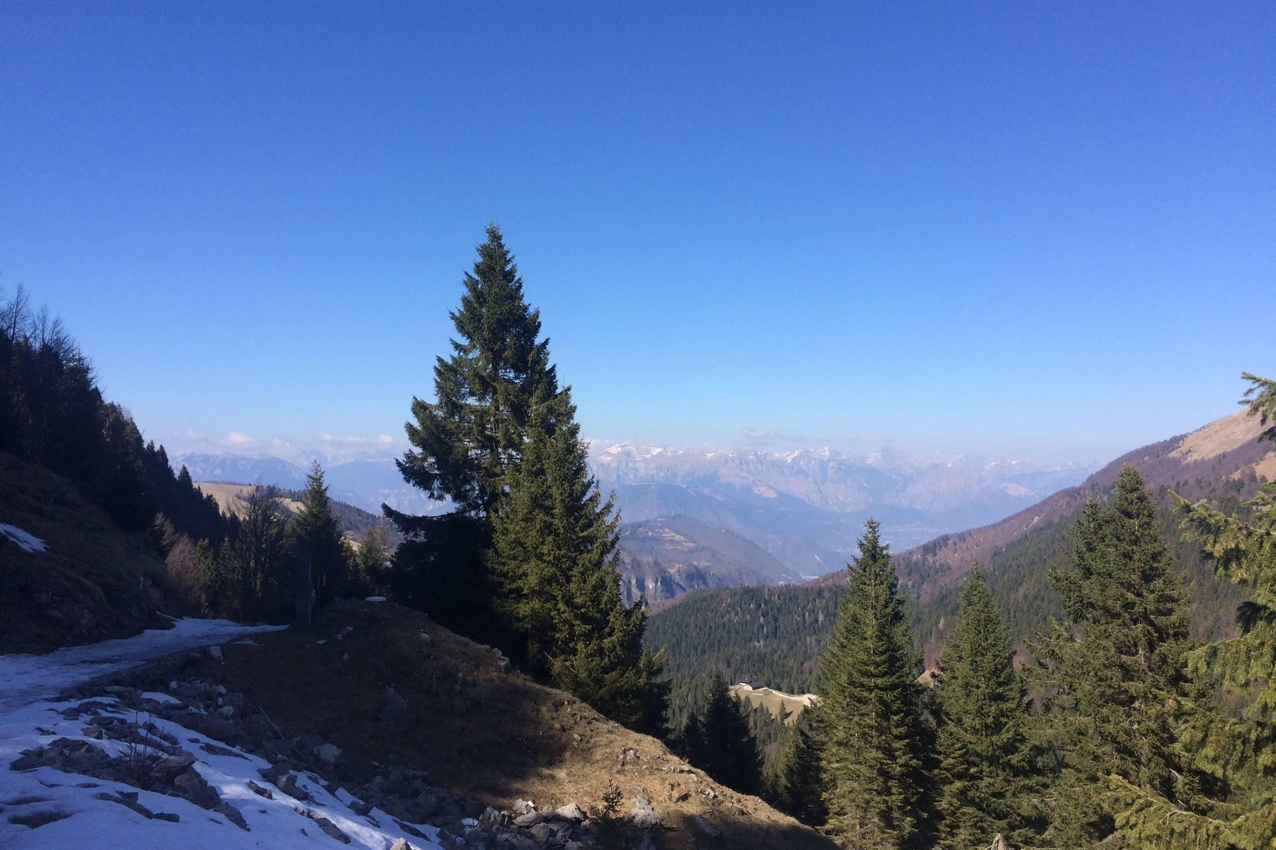 Il Bosco degli Eroi