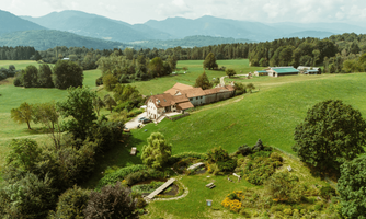 Azienda Agricola Il Colle Del Tiglio