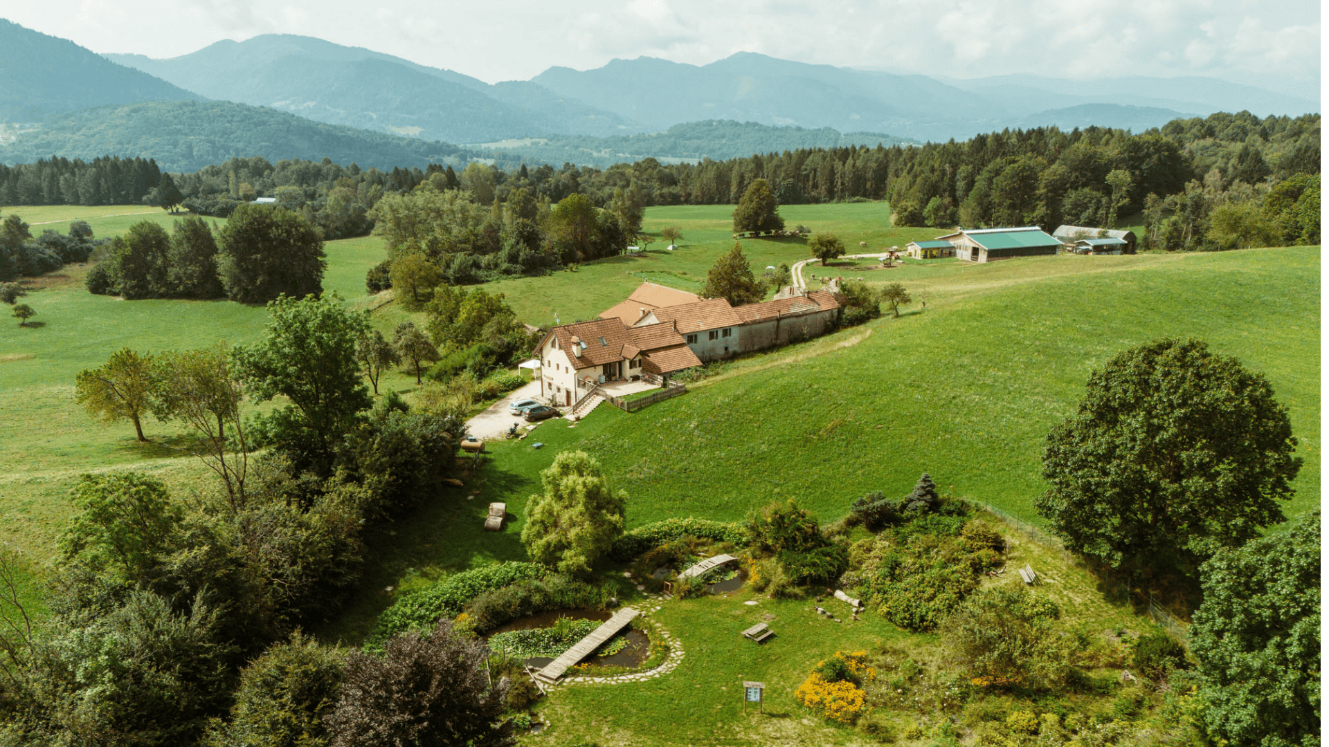 Azienda Agricola Il Colle Del Tiglio
