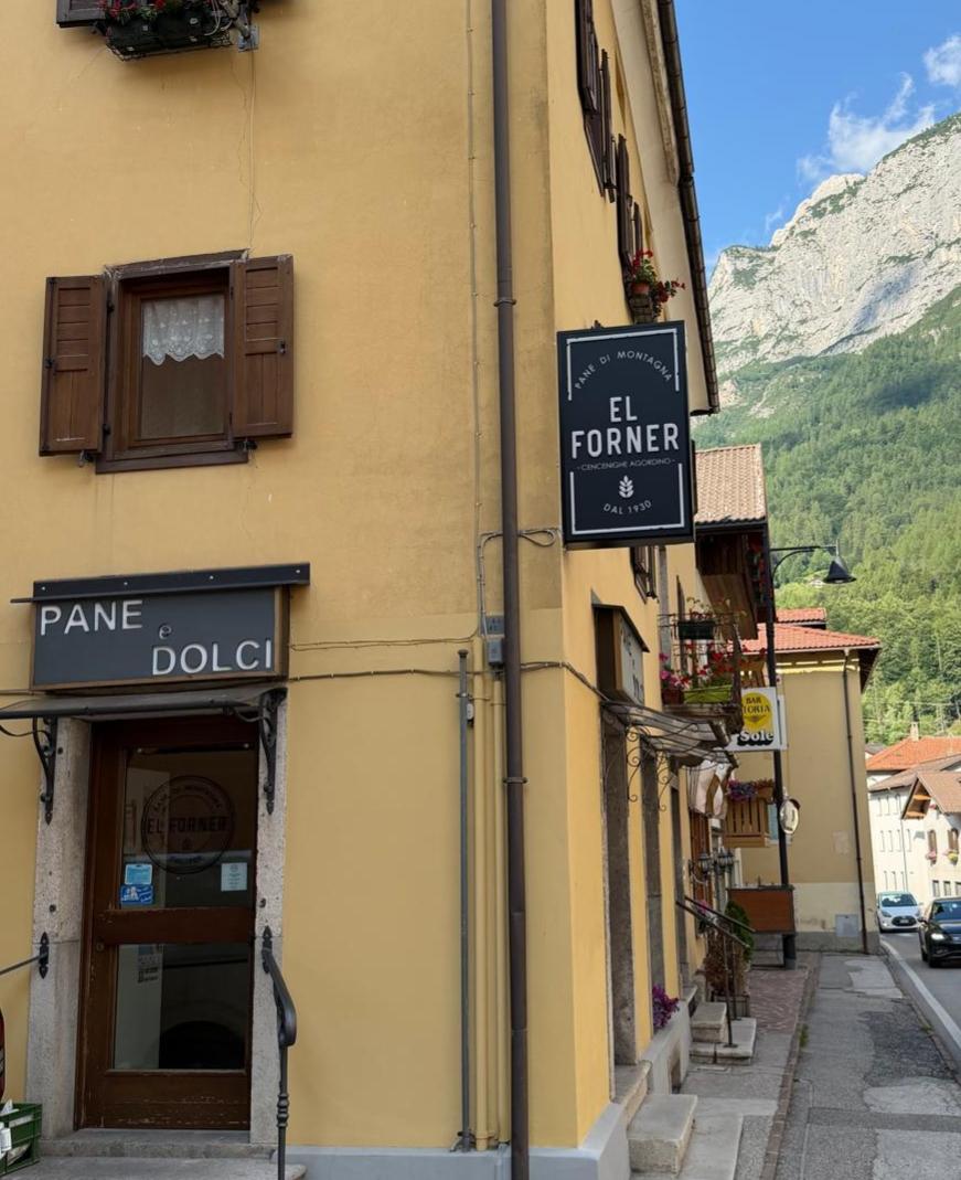 Panificio El Forner - 3