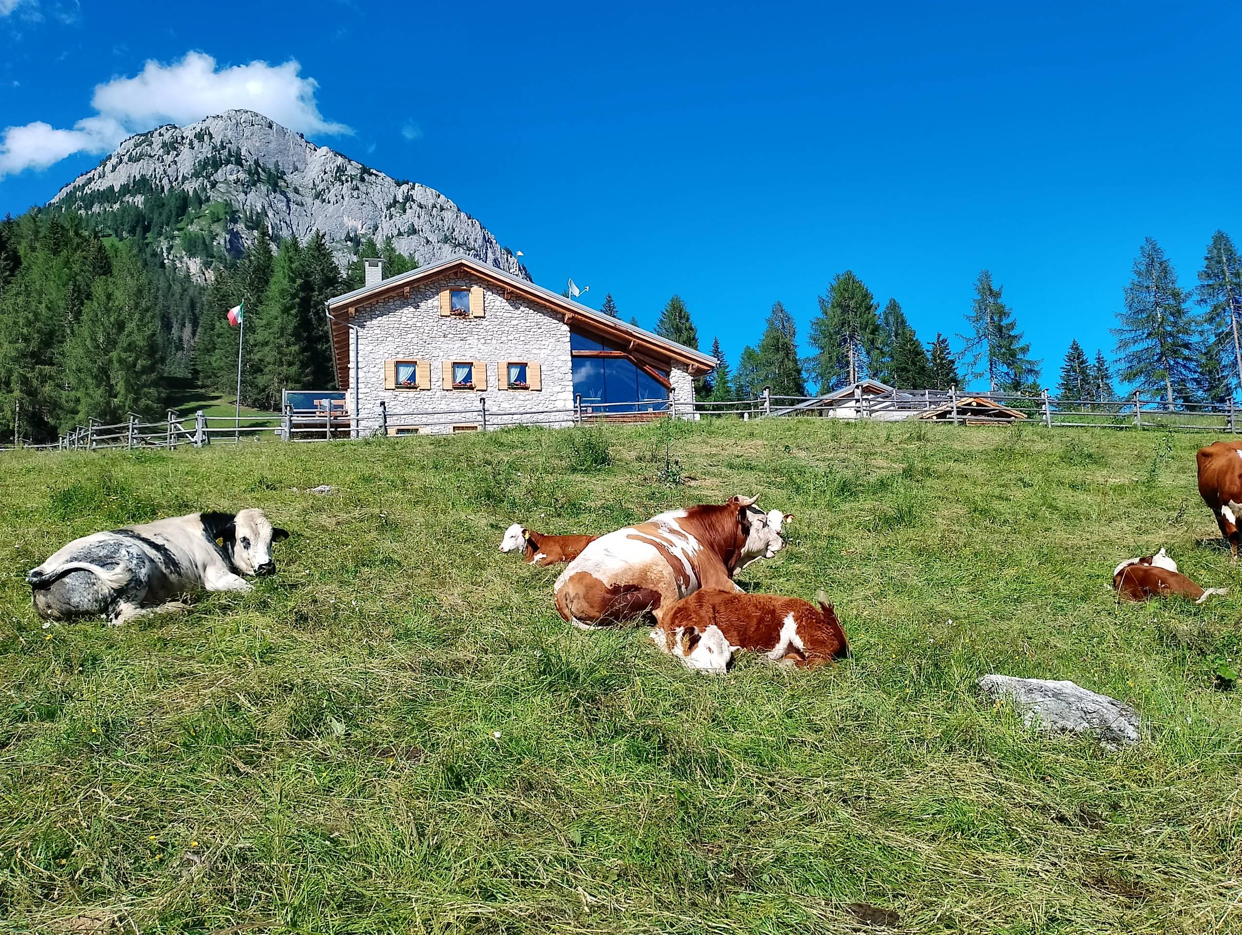 Malga Maraia