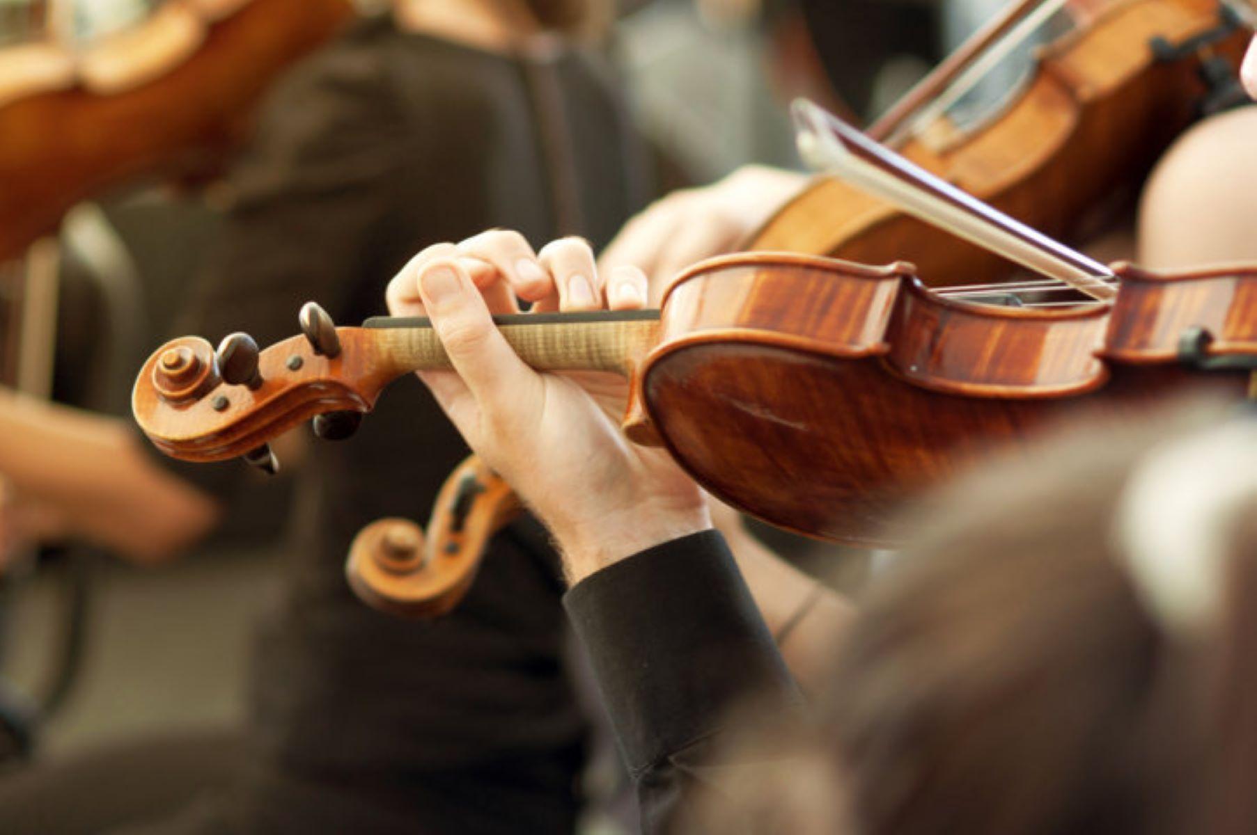 Musei in Musica