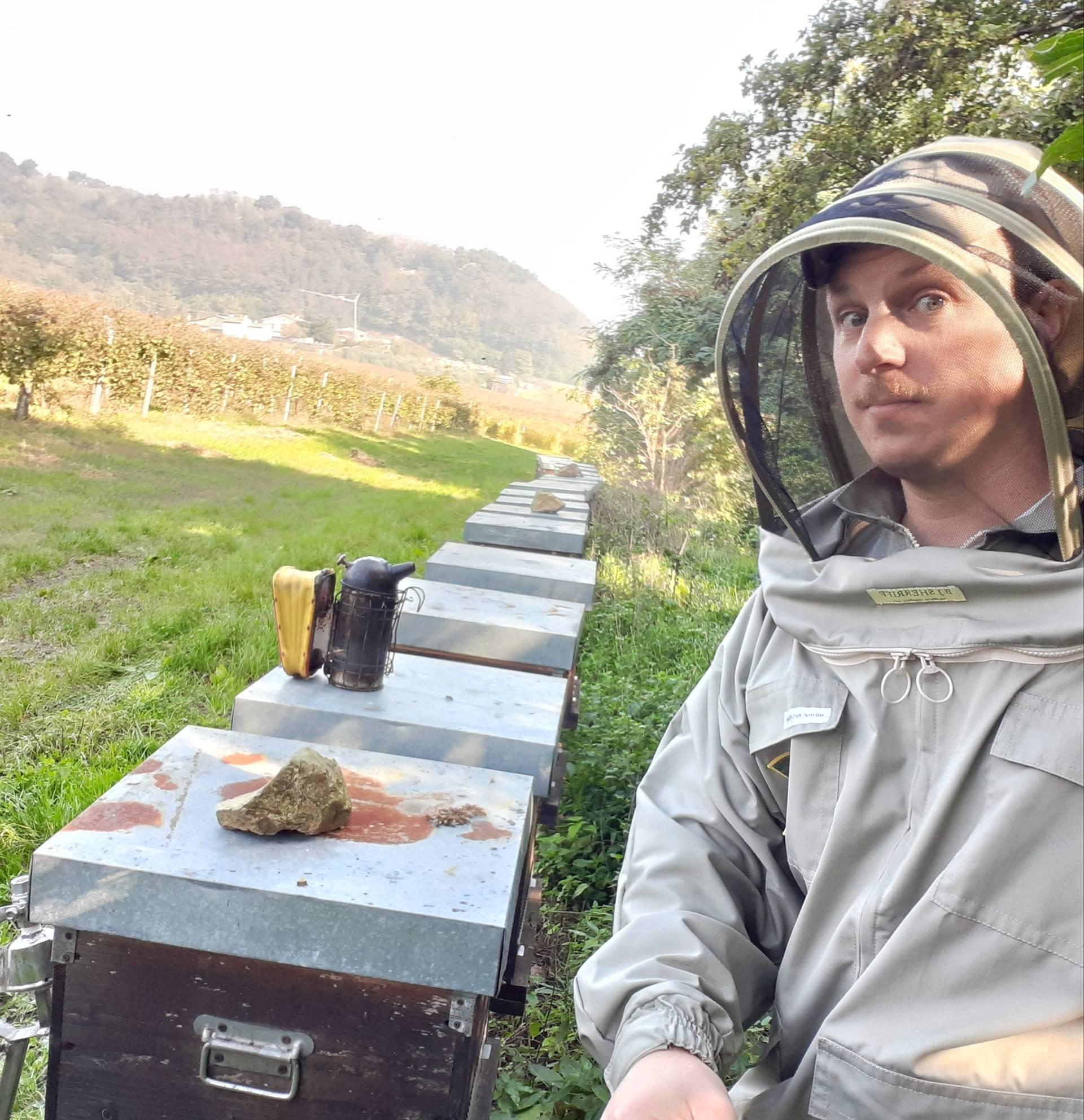 APE AGRICOLA DI STEFANI RICCARDO