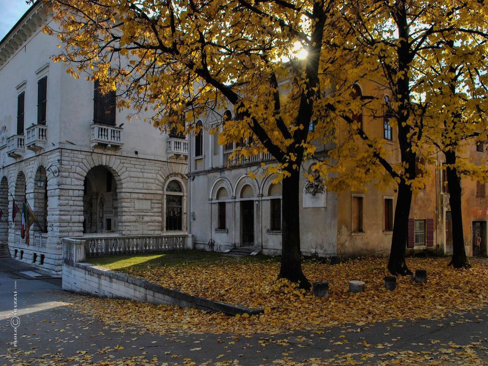 Musei d’Autunno