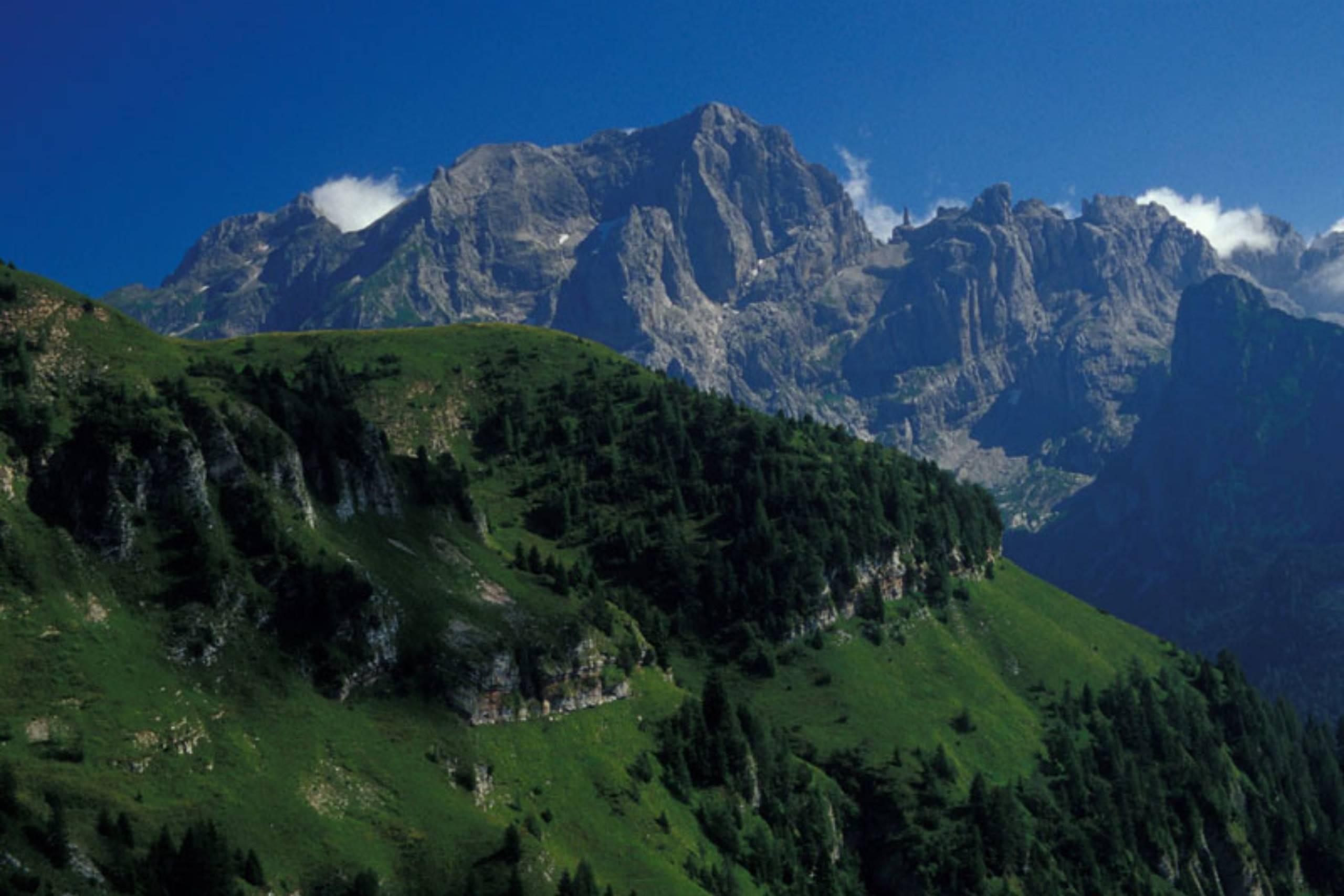 Salita al rifugio Bianchet