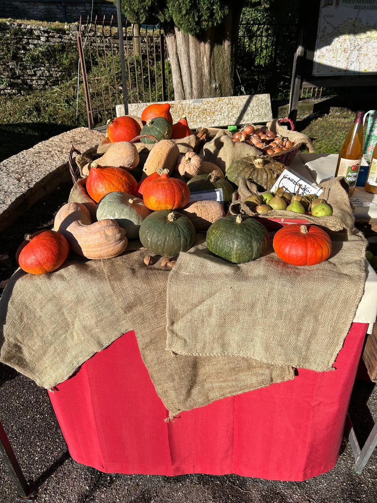 Autunno Contadino