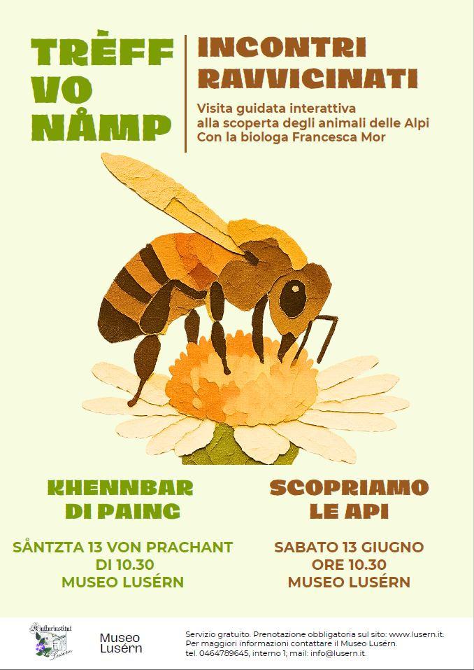 Incontri ravvicinati - Trèff vo namp