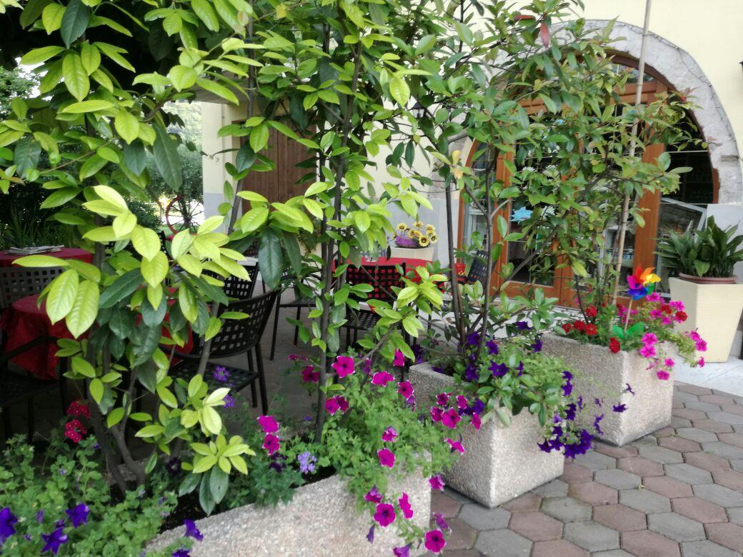 AGRITUR GIRASOLE • Garda Trentino