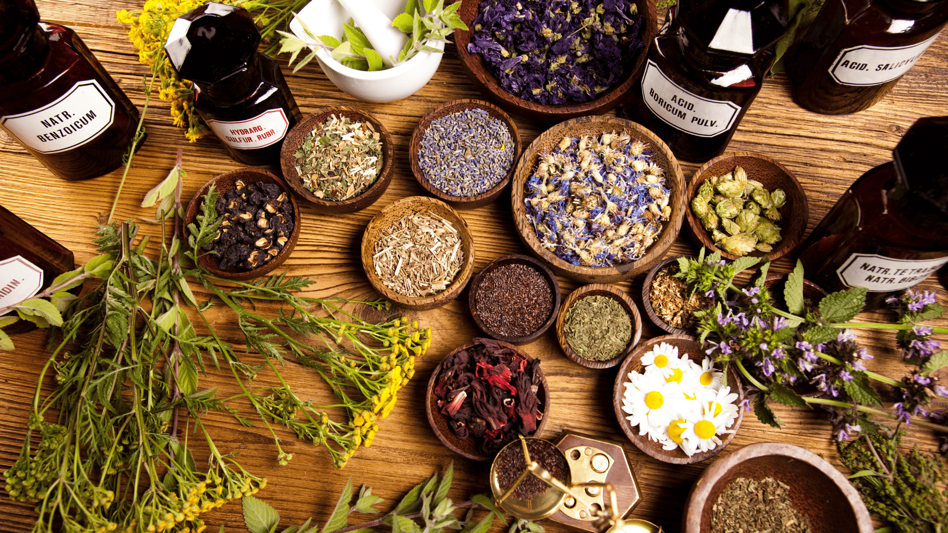 Festival dell’Olistico