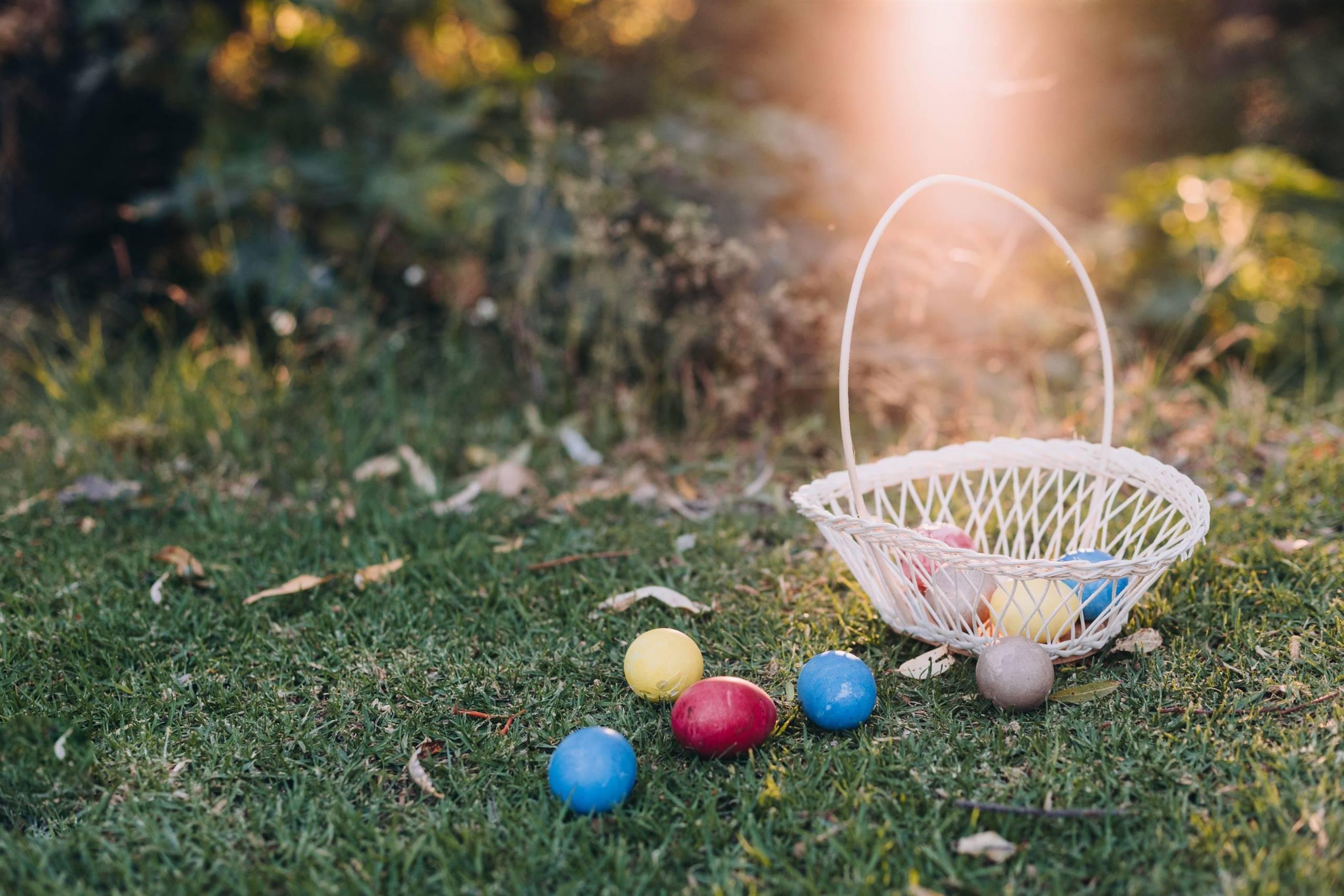 Caccia all’uovo in fattoria