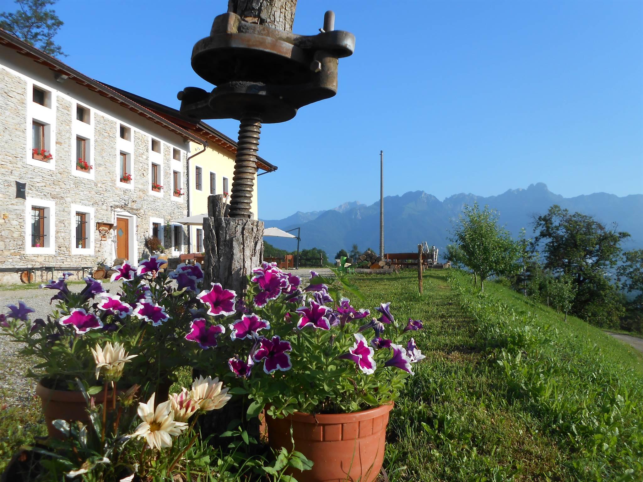 LA CASA NEI BOSCHI