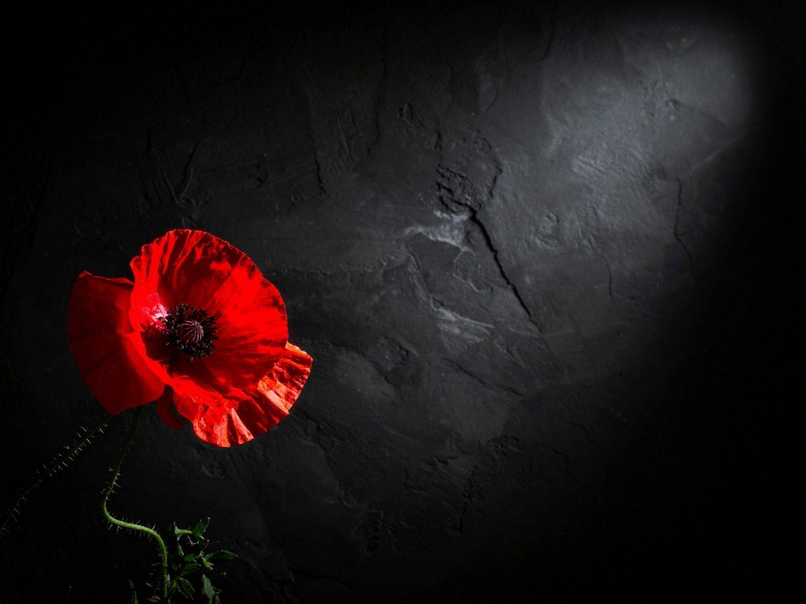 La resistenza senza armi