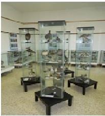 Museo Etnografico di Lova MUS.TE.LA