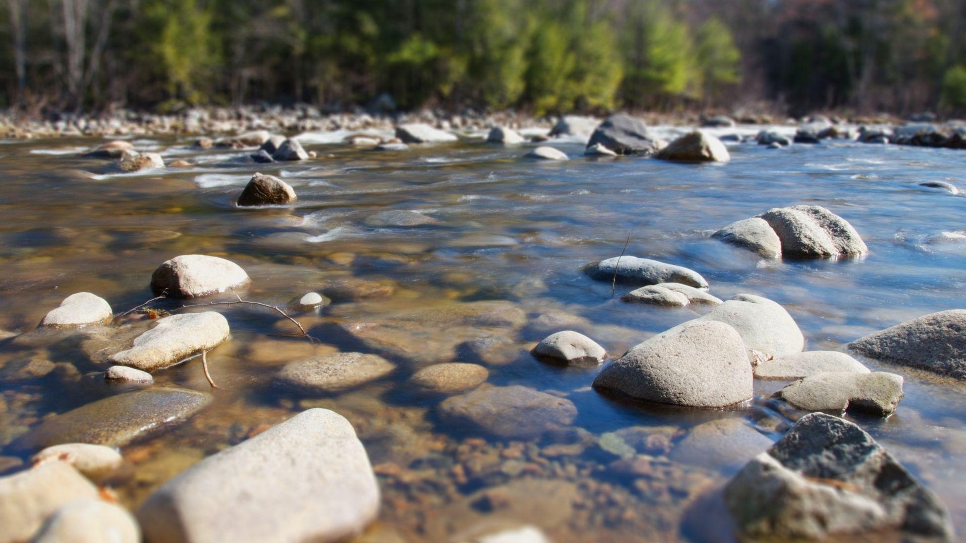 Acque, alberi, sassi tra Candaten e il Cordevole