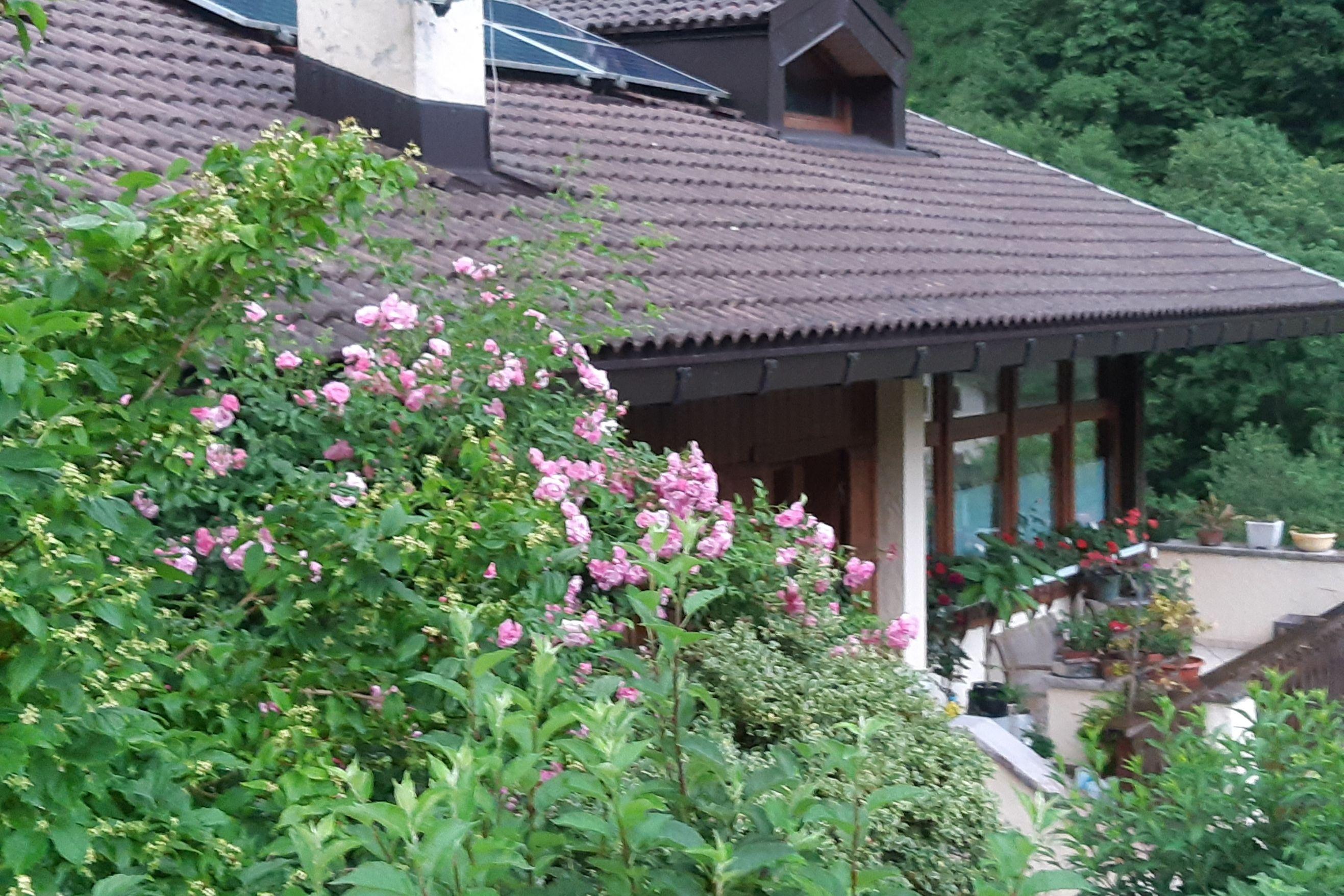 CA VAL DEL GRISOL - 3