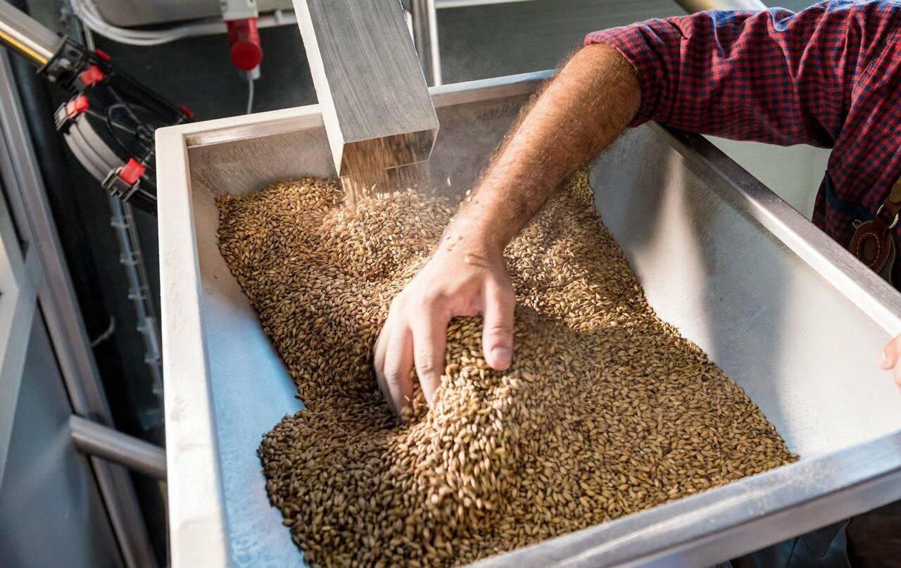 BIRRIFICIO BIOFEVARI DI STEFANI FRANCESCO