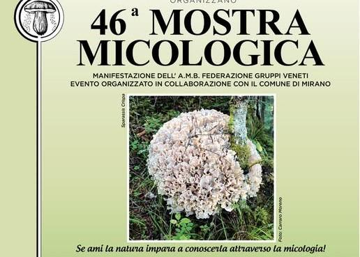 Mostra Micologica