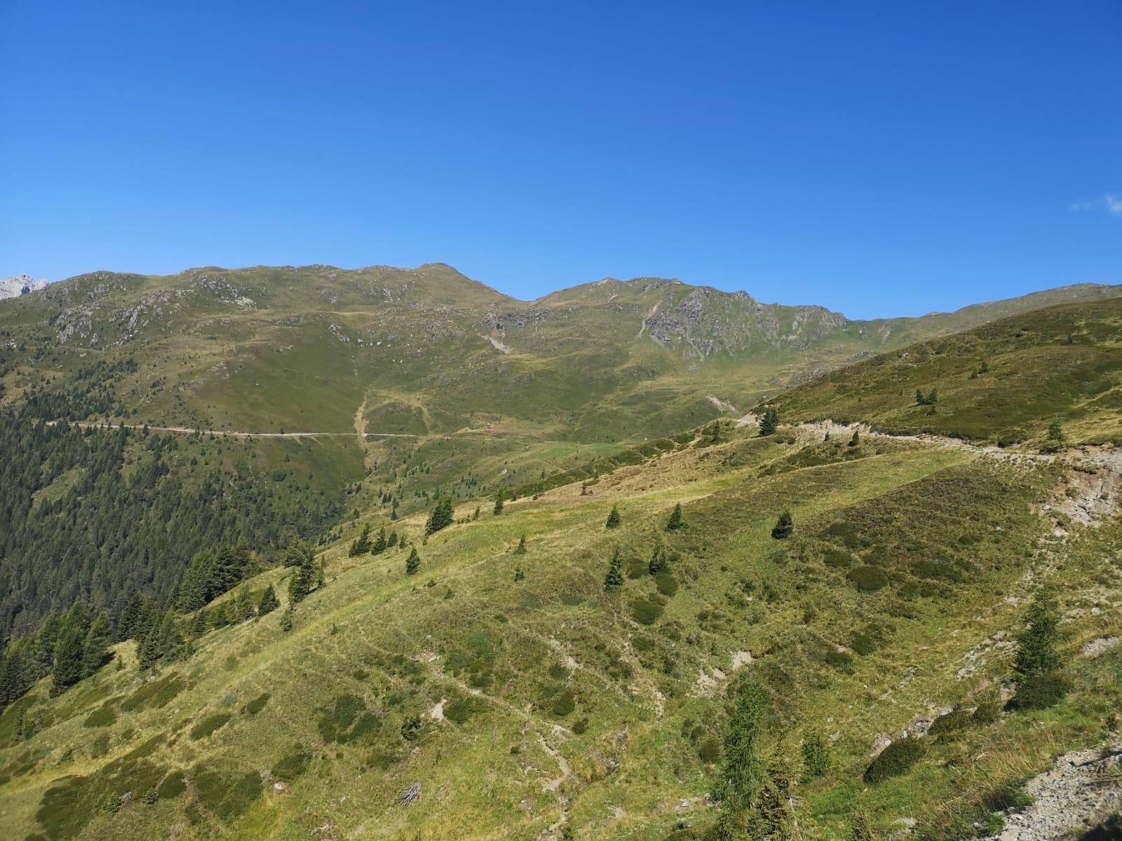 Bike: Strada delle malghe