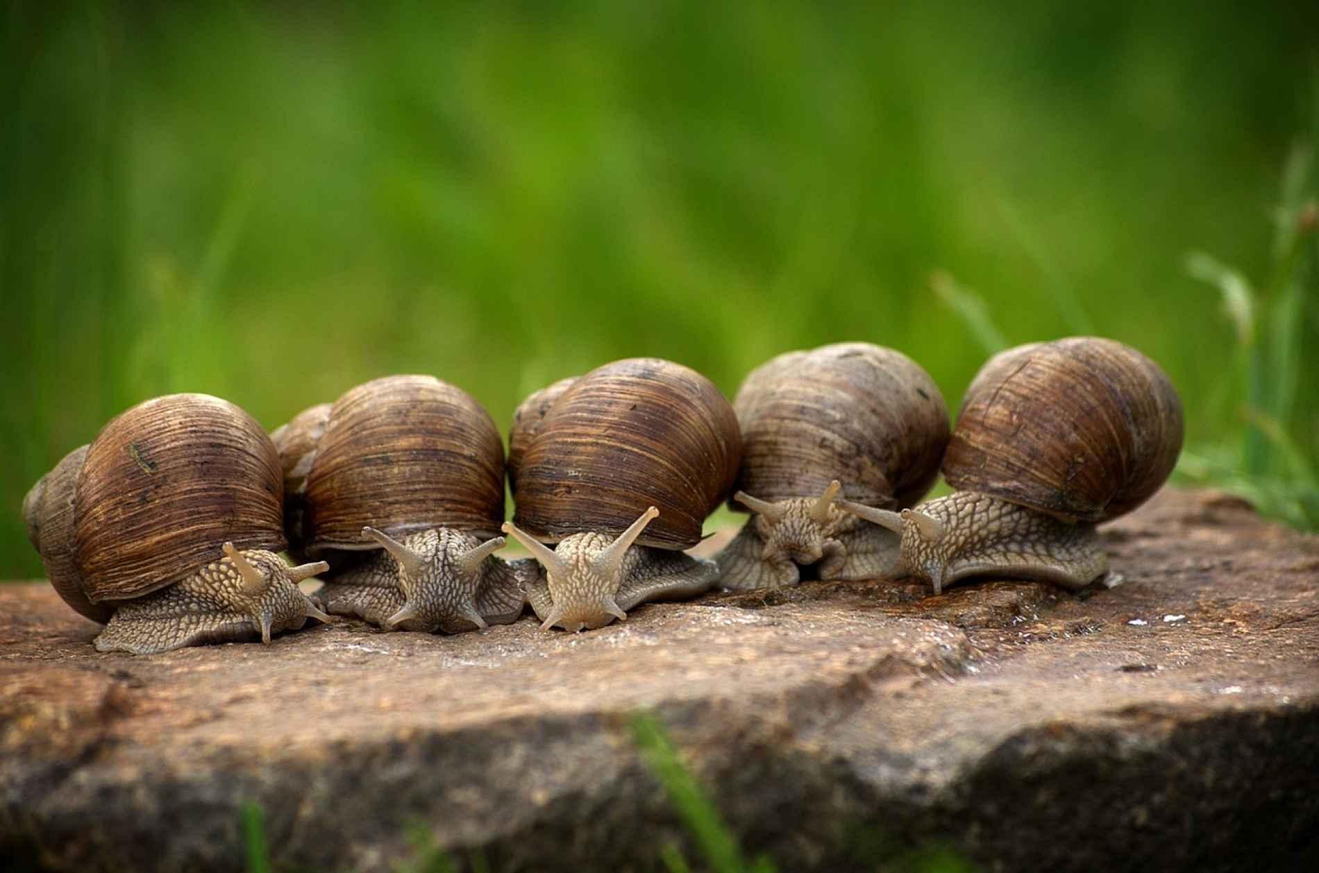Sentiero dei S’Cios