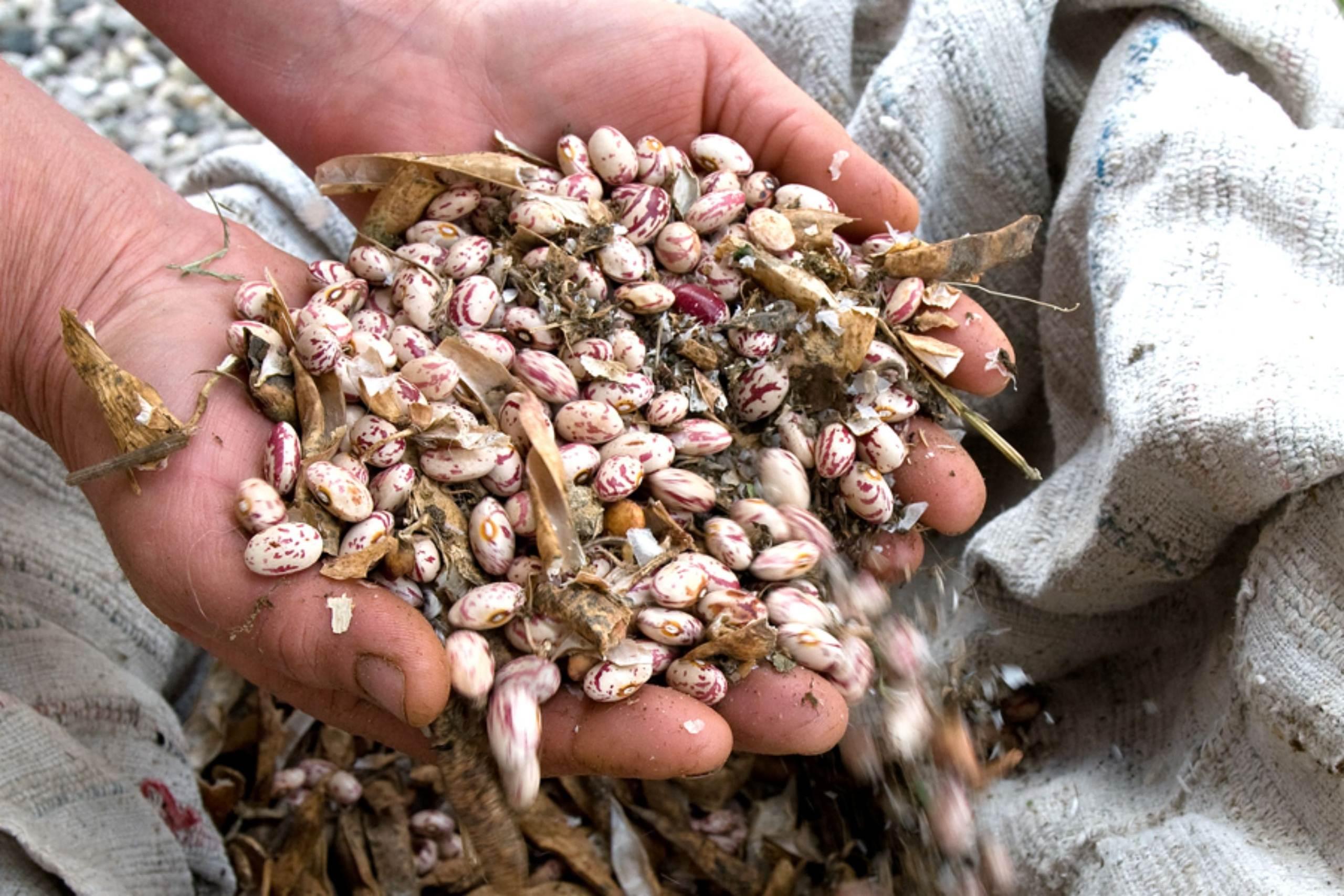 Azienda Agricola Rosa Maria
