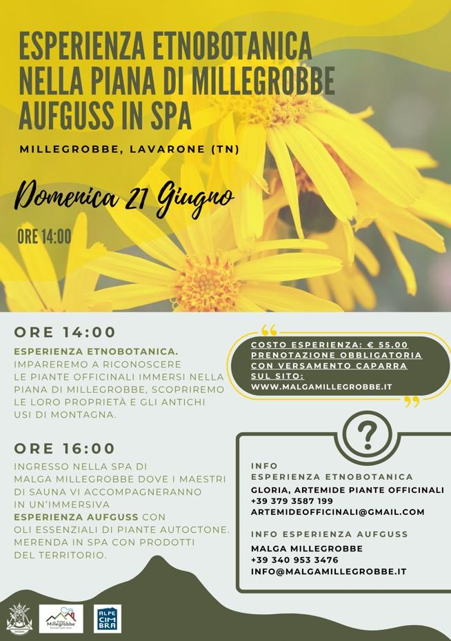 Esperienza Etnobotanica nella piana di Millegrobbe Aufguss in spa