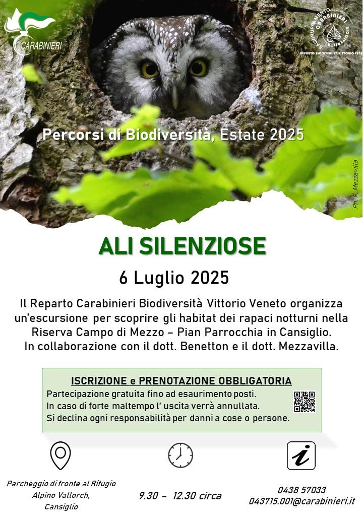 Ali silenziose