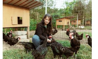 Vallenzai azienda agricola
