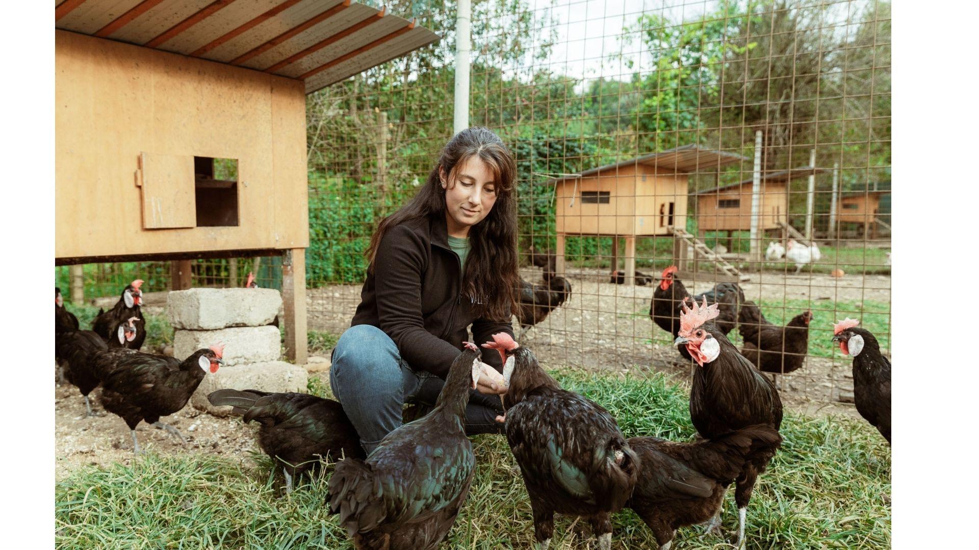 Vallenzai azienda agricola