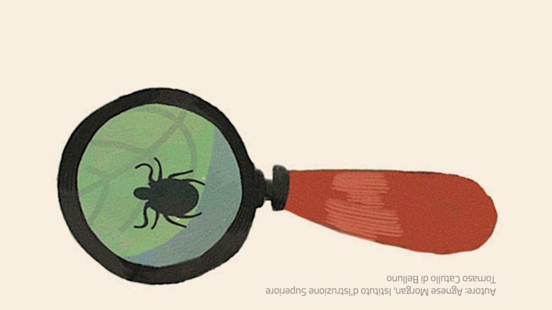 Parliamo di zecche. Percezione e gestione del rischio d’infezione