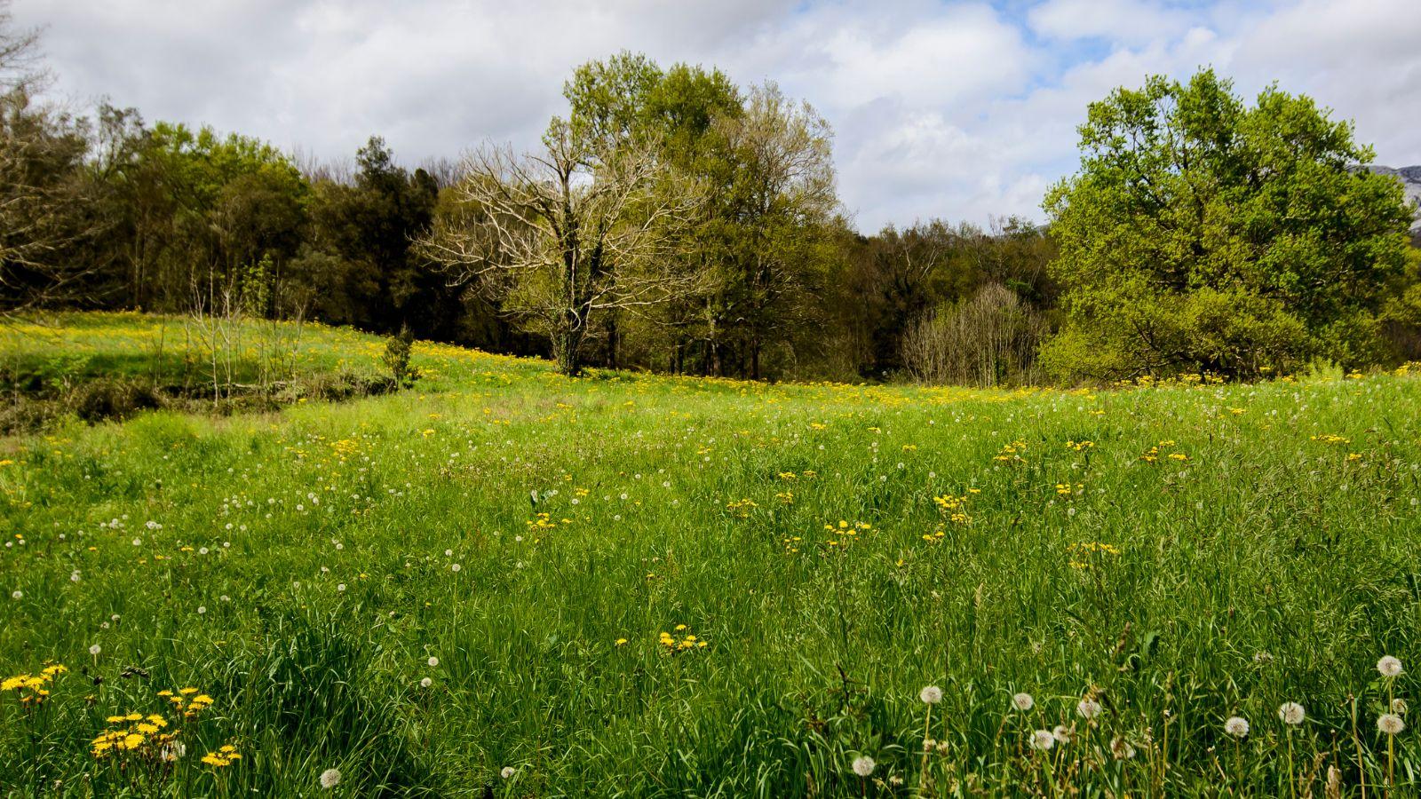 Cammini dell’anima – Nutrirsi di natura